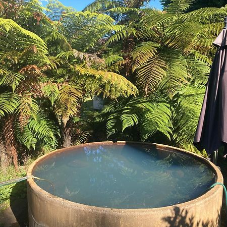 Whare&Geothermal Pool By Lake Taupo Turangi Exterior foto