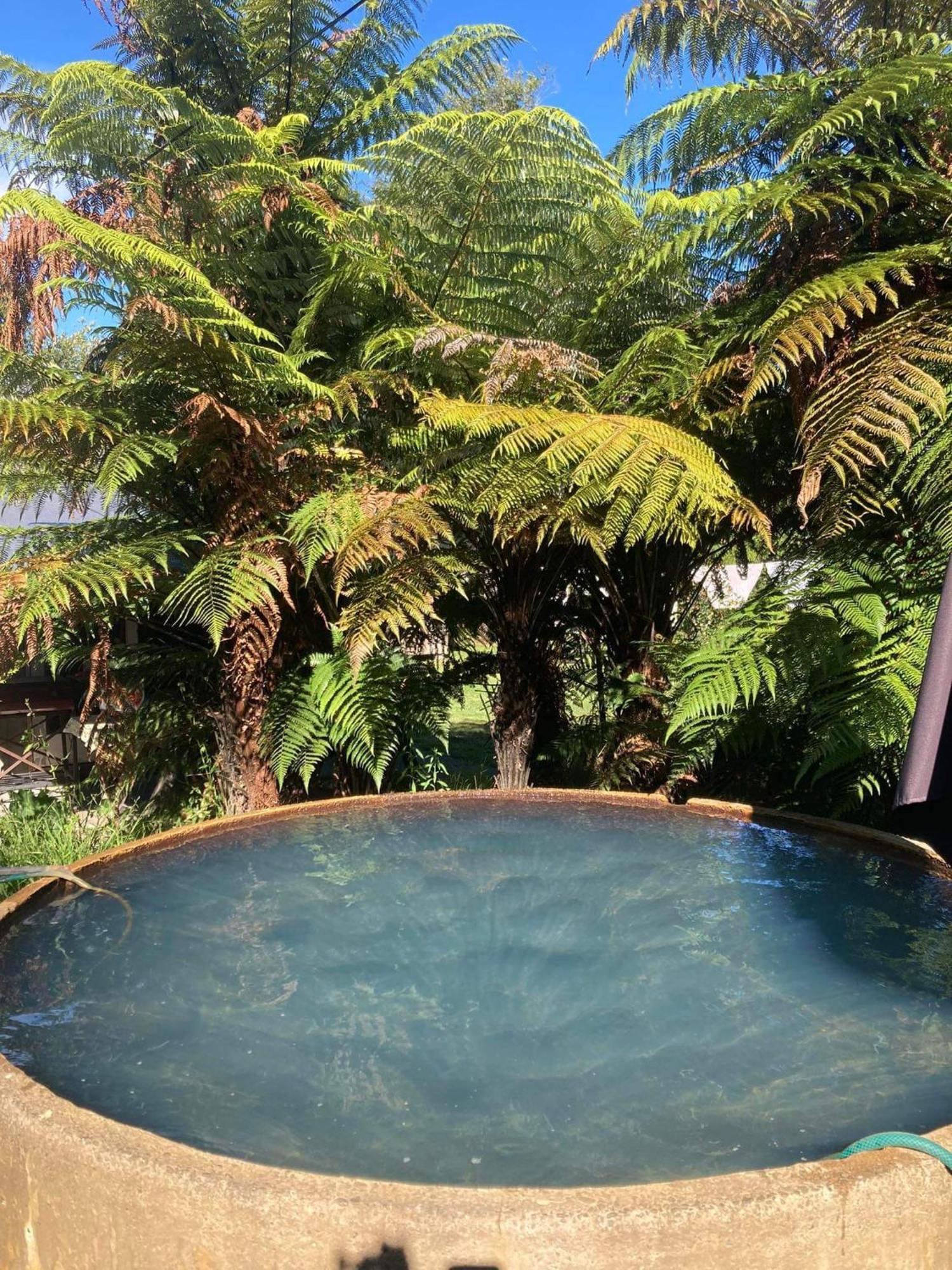 Whare&Geothermal Pool By Lake Taupo Turangi Exterior foto